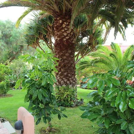 Balconcitos 51 Casa vacanze *