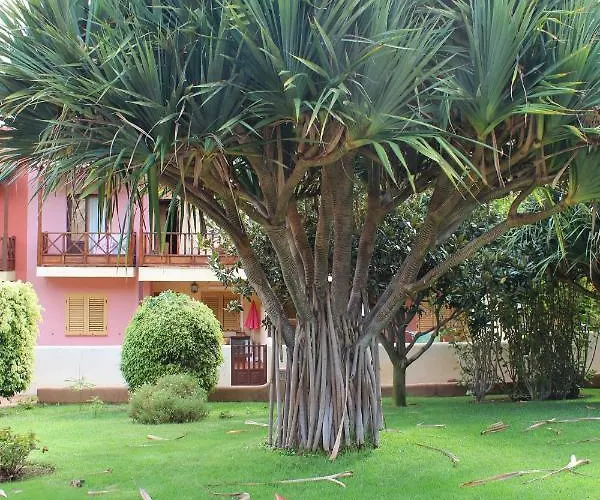Balconcitos 51 Сasa de vacaciones Playa Cancajos.- BreNa Baja (la Palma)